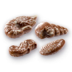 Leonidas Chocolate Seafood