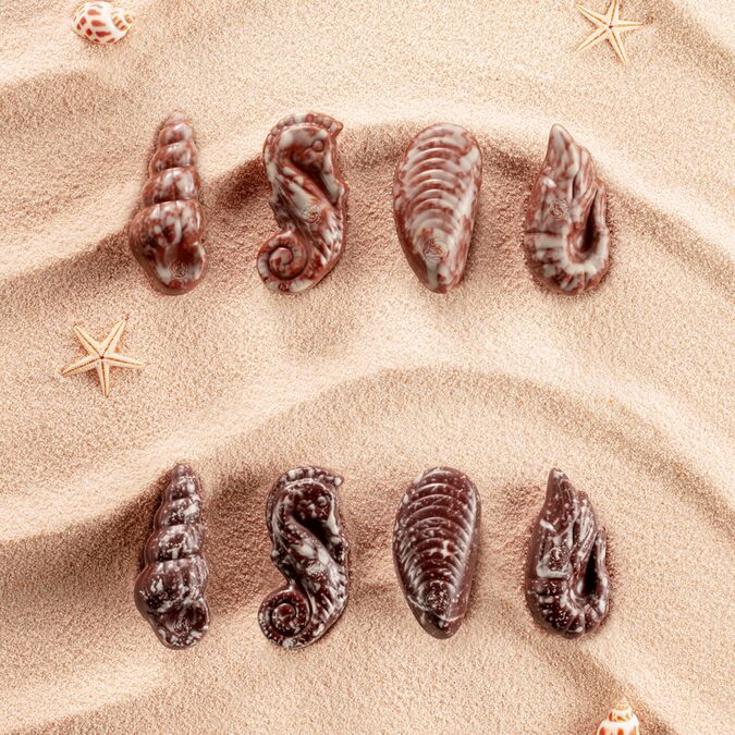 Leonidas Chocolate Seafood